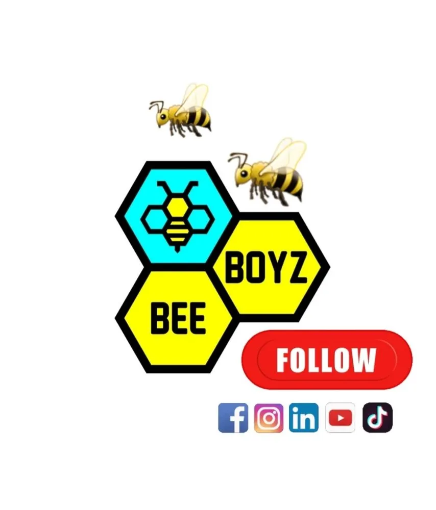 Local yard maintenance for year-round maintenance across Fort Lauderdale, FL - Beeboyzinc