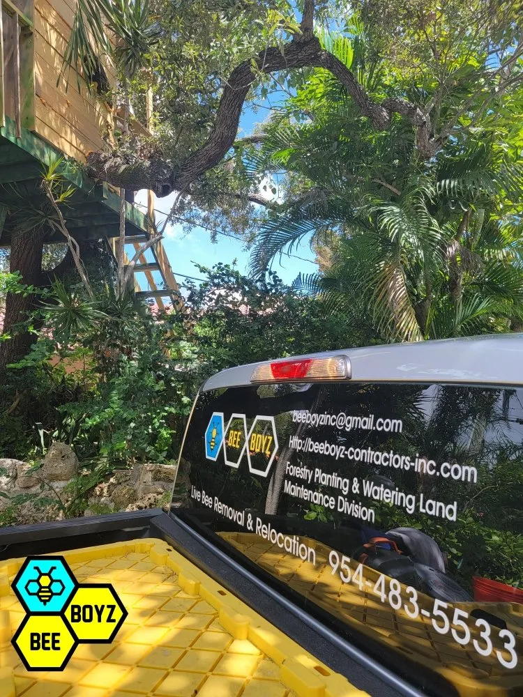 Affordable landscaping services in Fort Lauderdale, FL - Beeboyzinc
