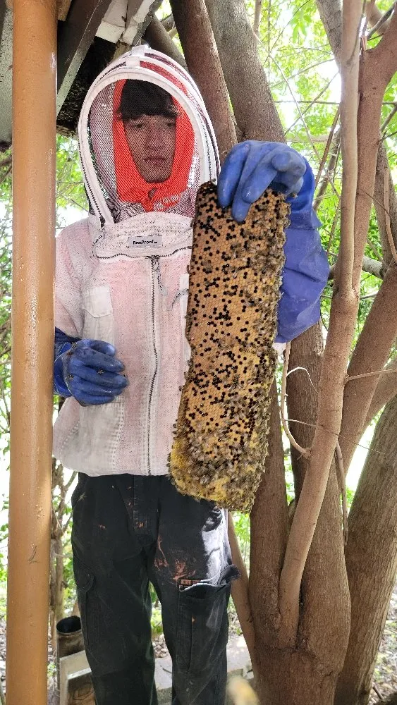 Local yard cleanup service for outdoor upgrades in Fort Lauderdale, FL by Beeboyzinc