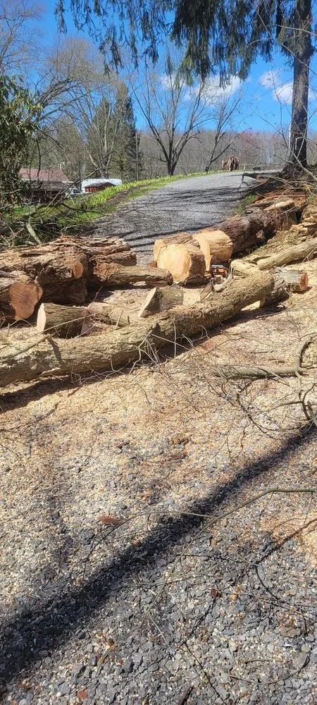 Custom yard cleanup service for beautiful yards across Volant, PA - Beech Flats Tree Solutions