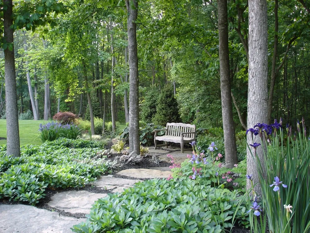 Custom lawn care service near you across White Marsh, MD - Beechtree Landscape & Design