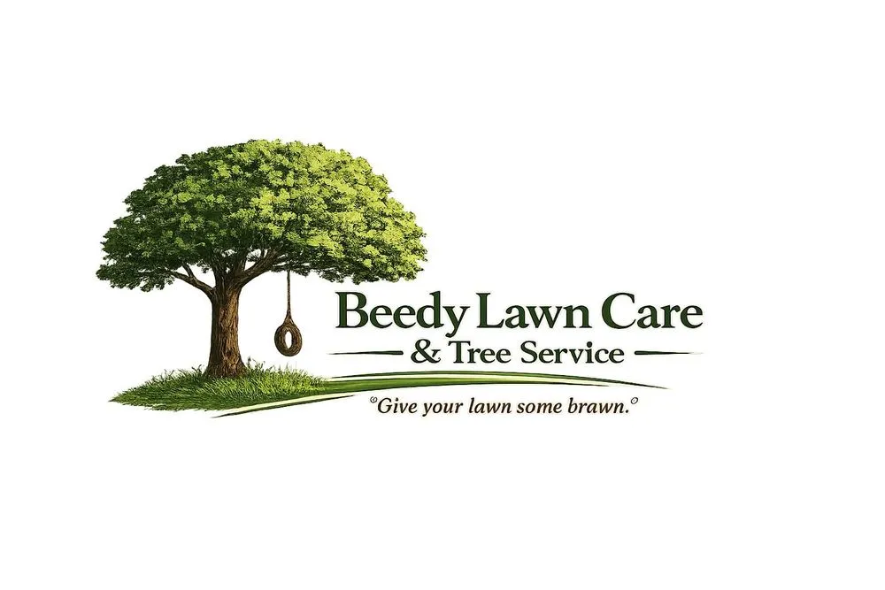 Custom outdoor landscaping in Seguin, TX by Beedy Lawn Care & Tree Service