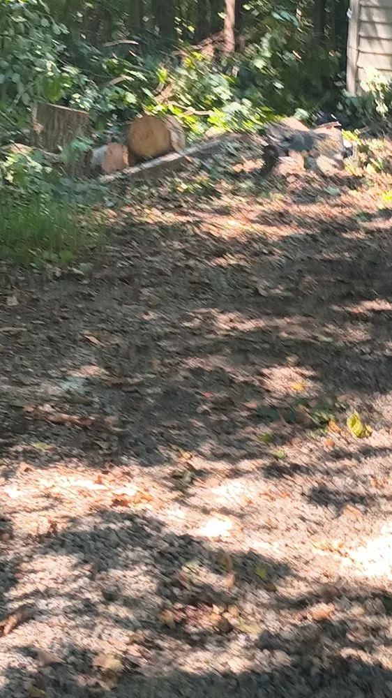 Professional landscape installation for outdoor upgrades across Chesterfield, VA - Beedybop Lawncare & Tree Services