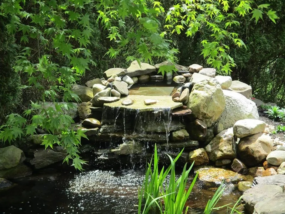 Top-rated landscape design in Floyd, VA - Beegle Landscaping & Lawn Care