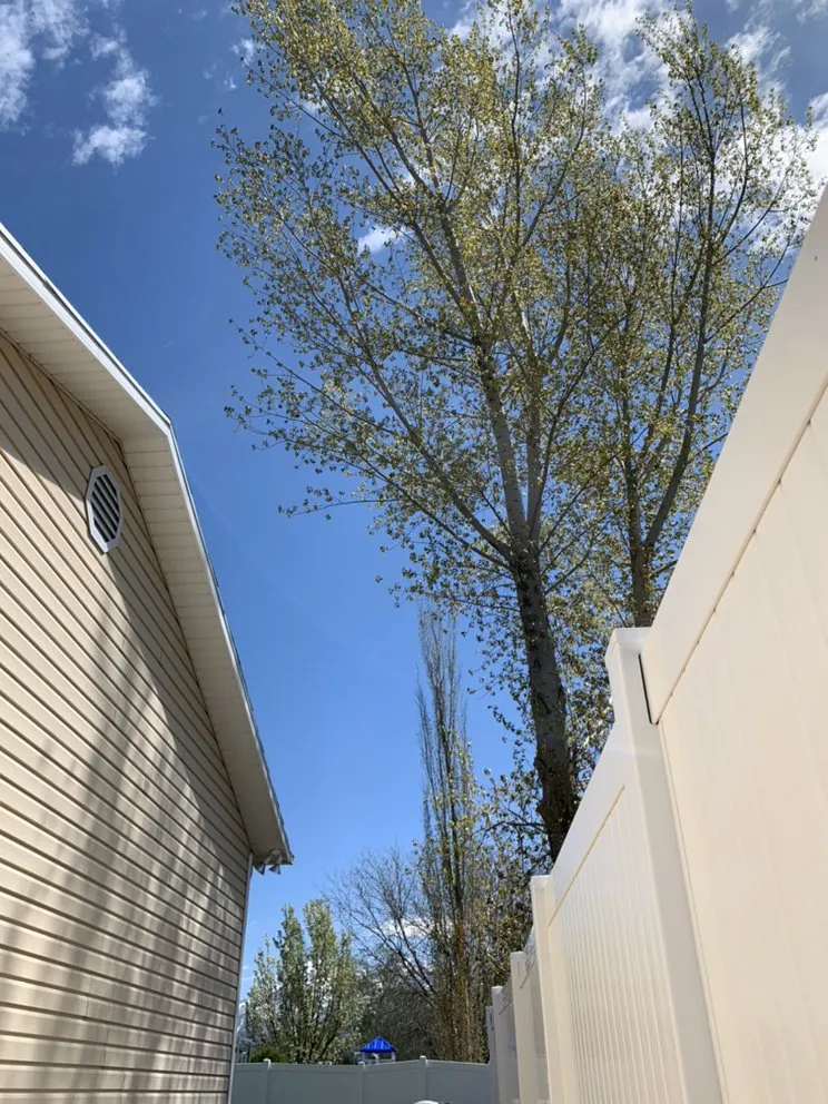 Local residential landscaping in West Jordan, UT by Beehive Tree Experts