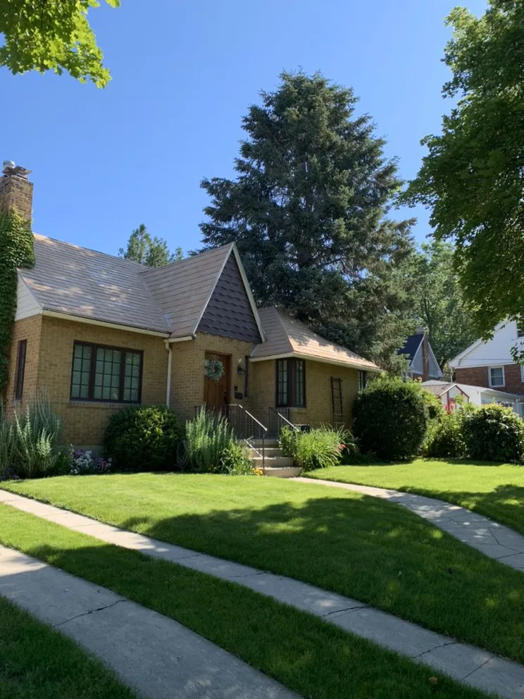 Professional landscaping services for outdoor upgrades in West Jordan, UT by Beehive Tree Experts