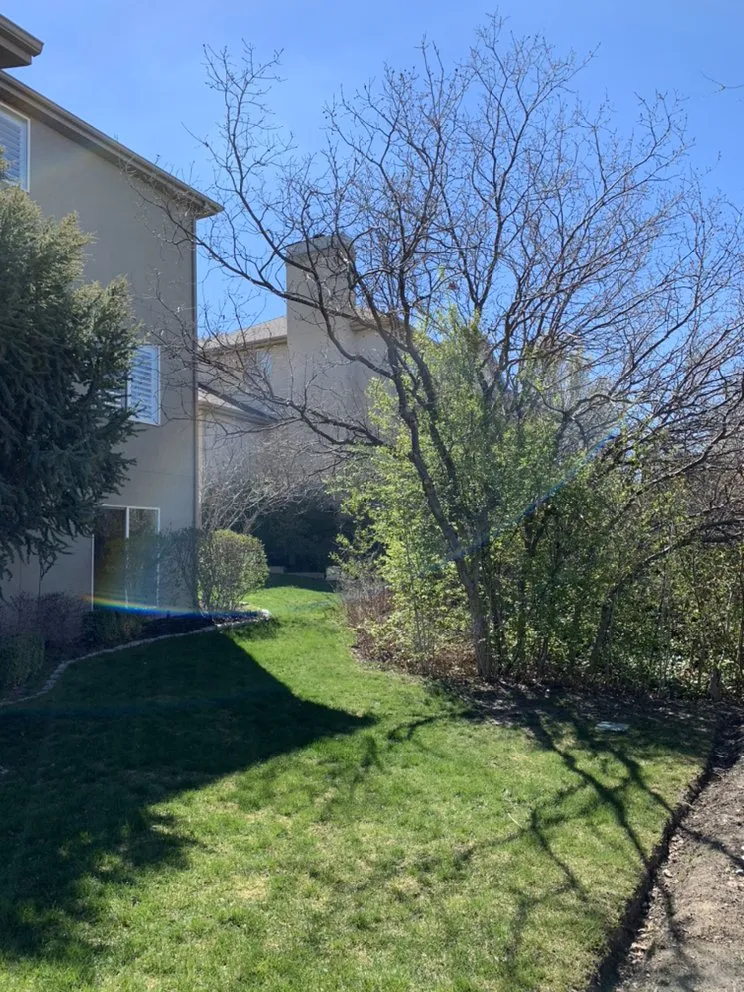 Expert garden landscaping experts serving West Jordan, UT - Beehive Tree Experts