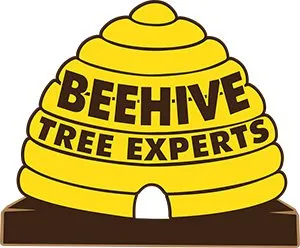 Top-rated yard maintenance in West Jordan, UT by Beehive Tree Experts