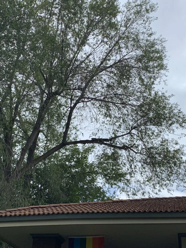 Trusted garden landscaping experts serving West Jordan, UT - Beehive Tree Experts