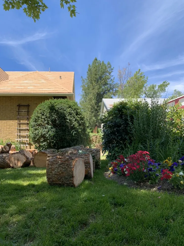 Custom outdoor landscaping for year-round maintenance across West Jordan, UT - Beehive Tree Experts
