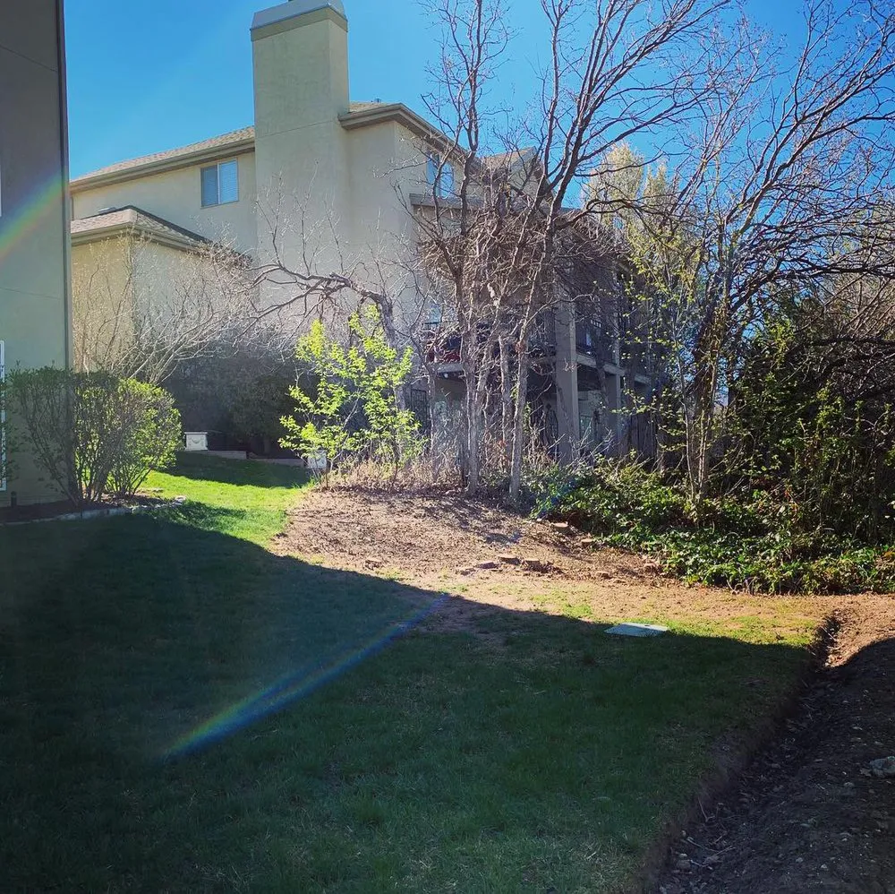 Affordable landscape design for outdoor upgrades in West Jordan, UT by Beehive Tree Experts