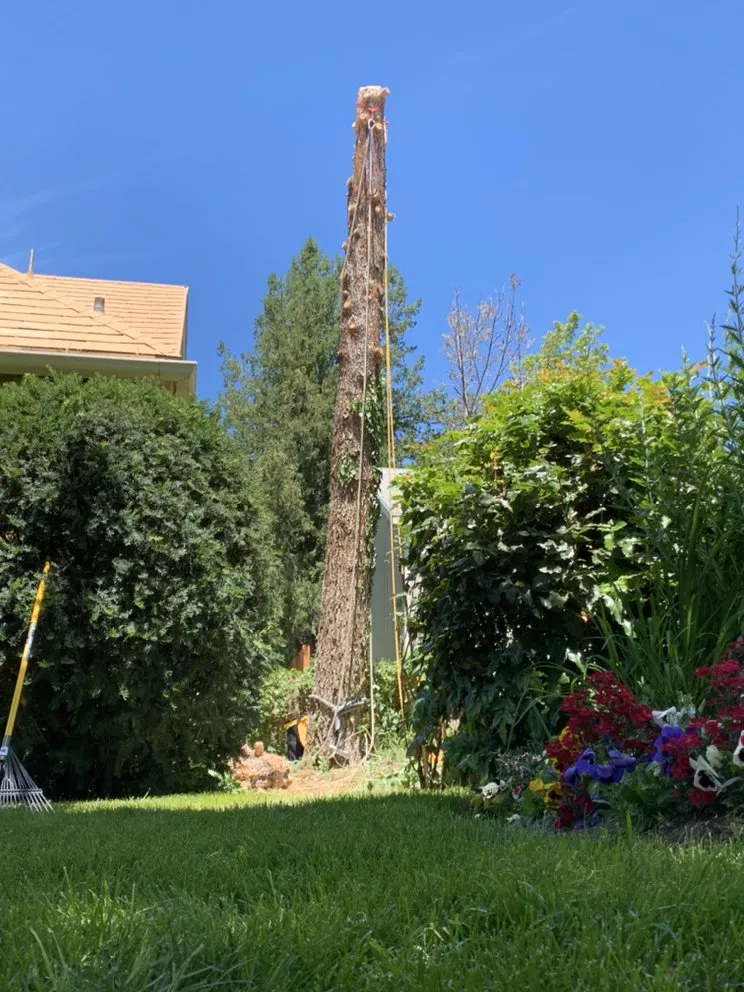 Affordable landscape installation experts serving West Jordan, UT - Beehive Tree Experts