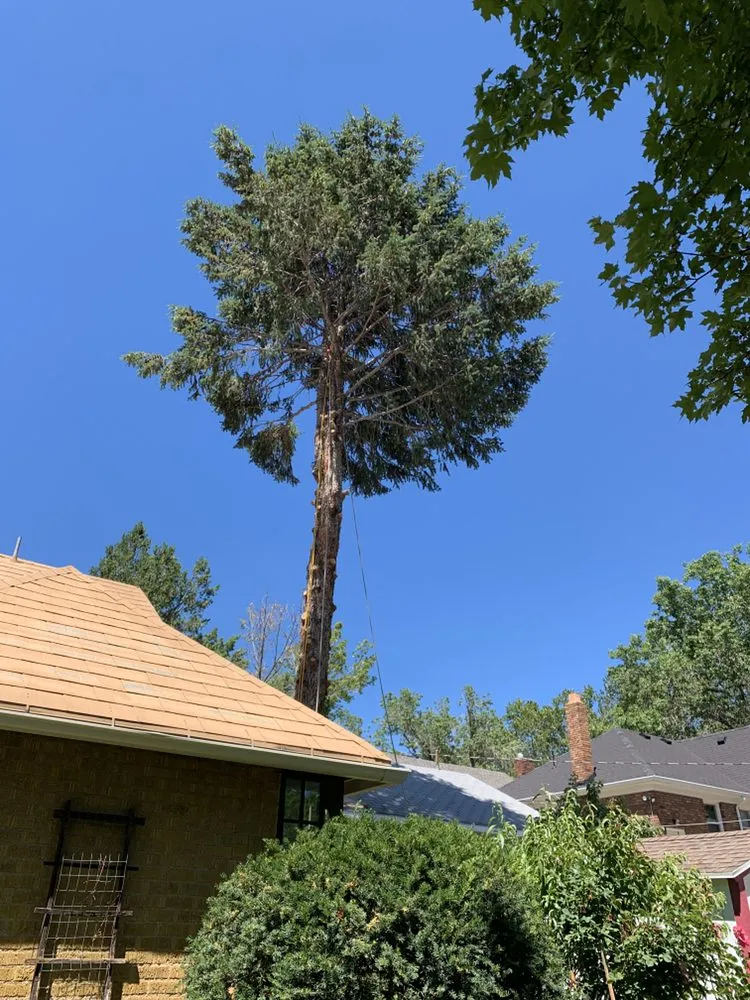 Trusted landscaping services with custom design across West Jordan, UT - Beehive Tree Experts