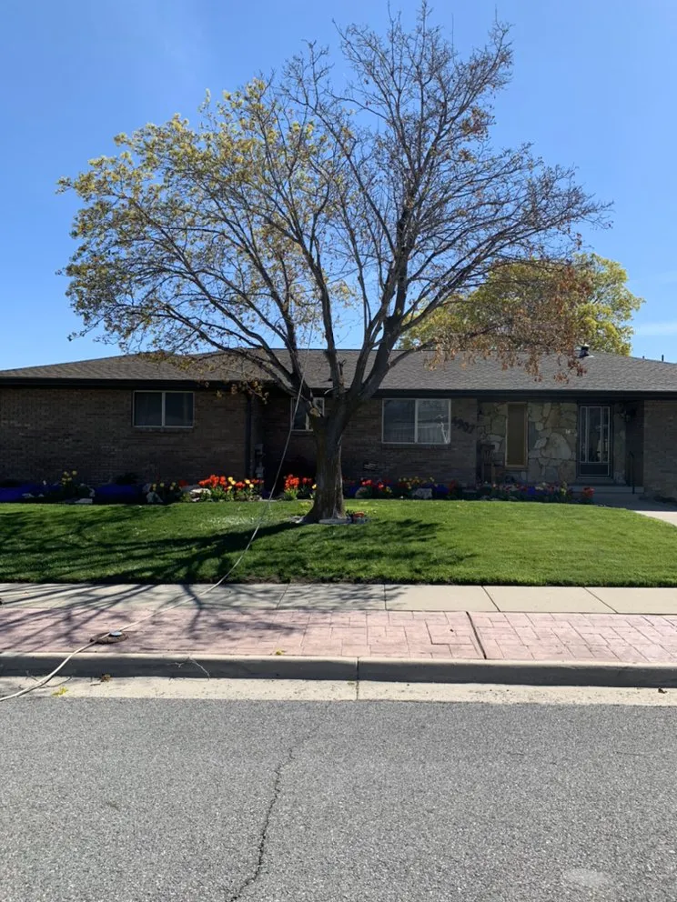 Custom landscape design near you across West Jordan, UT - Beehive Tree Experts