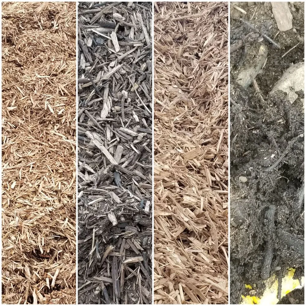 Trusted yard cleanup service for beautiful yards across West Jordan, UT - Beehive Tree Experts