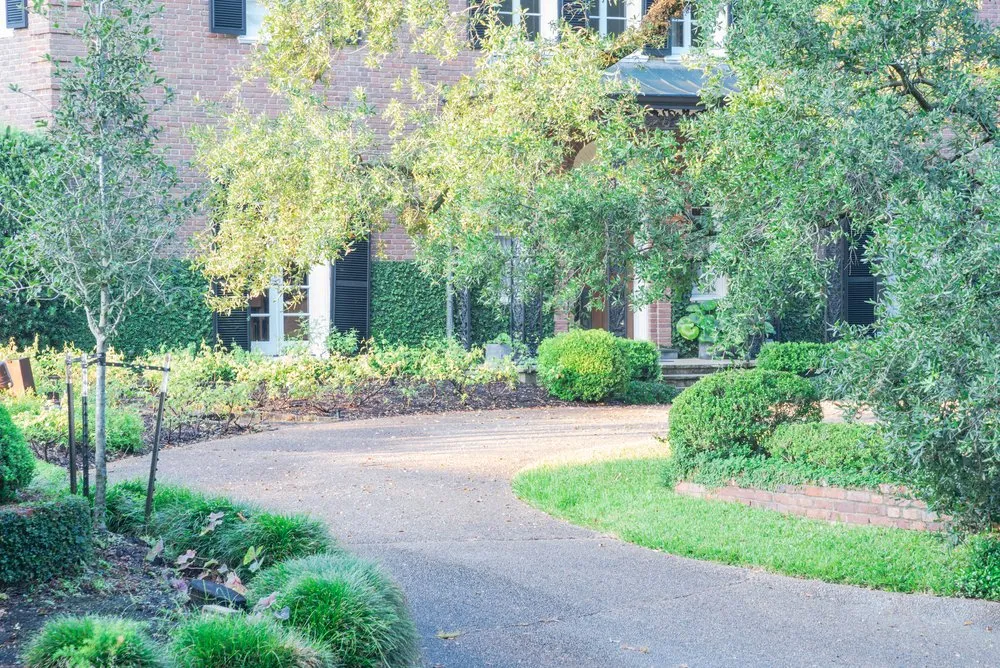 Expert yard maintenance experts serving Prosper, TX - Been There - Tree Services Prosper