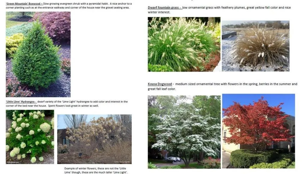 Affordable yard maintenance experts serving Turnersville, NJ - Beerman and Sons Landscaping