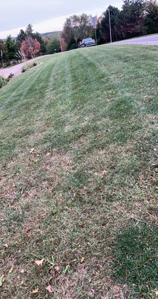 Trusted landscape design experts serving Kansas City, KS - Beerys Lawn Care and Landscaping