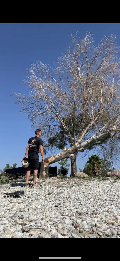 Top-rated landscape design experts serving Redlands, CA - Bee's Hauling