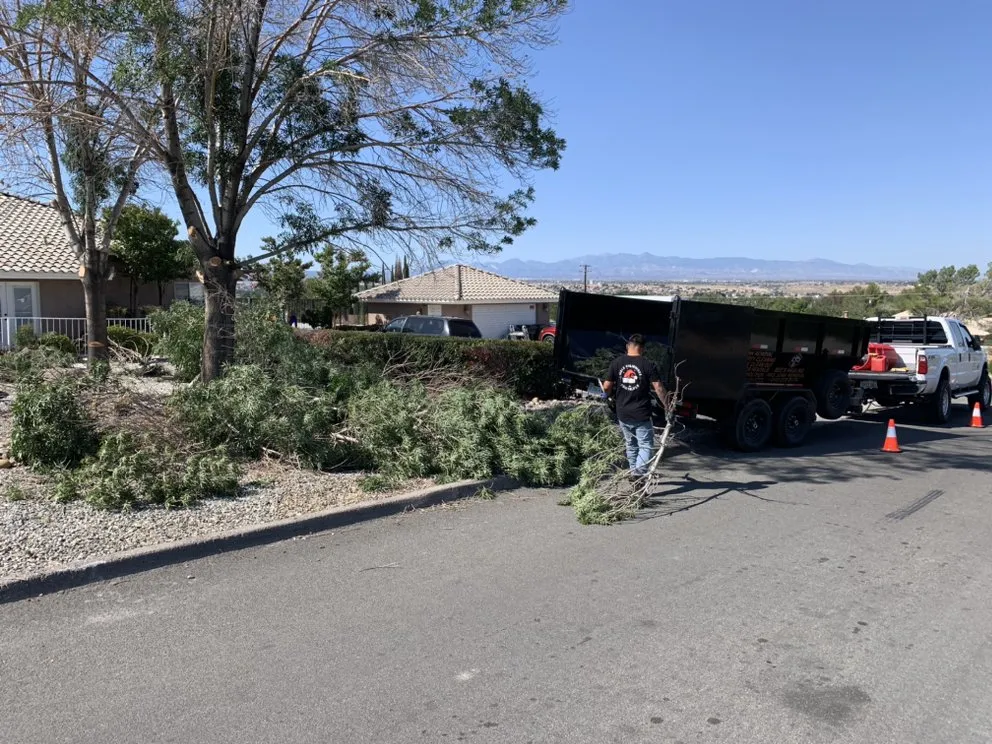 Expert yard maintenance in Redlands, CA by Bee's Hauling