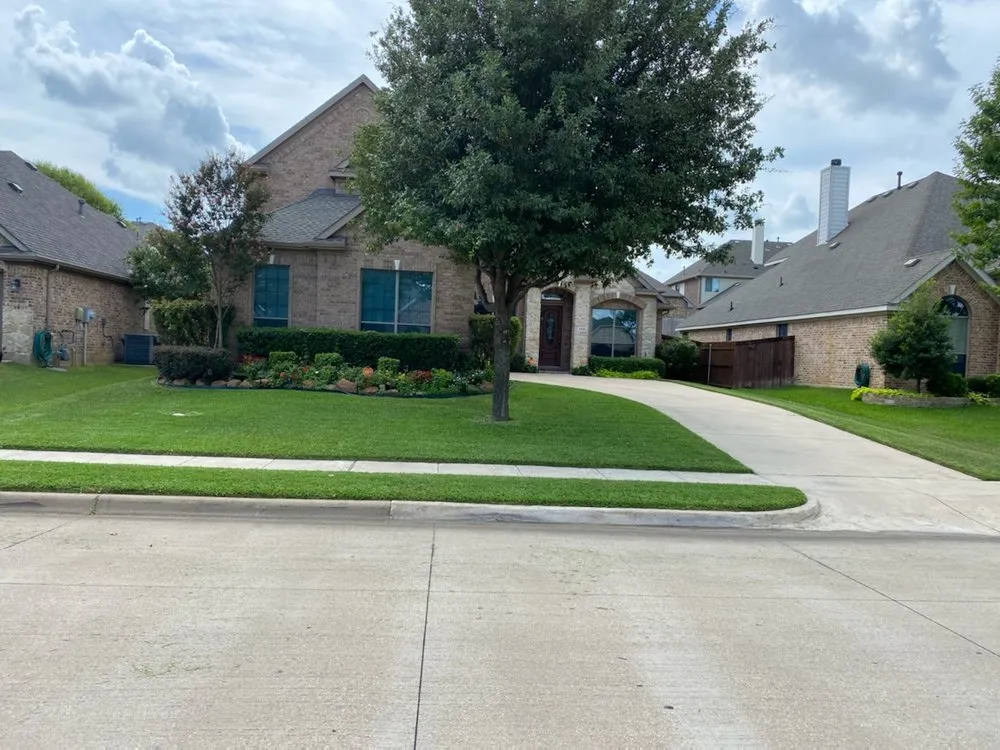 Trusted landscape design in Fort Worth, TX - Bee's Knees Lawn care service