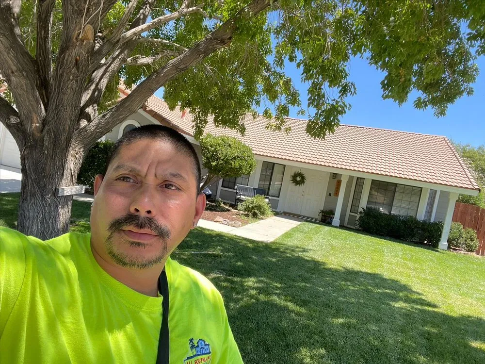 Affordable landscape design with custom design in Palmdale, CA by Bees landscape