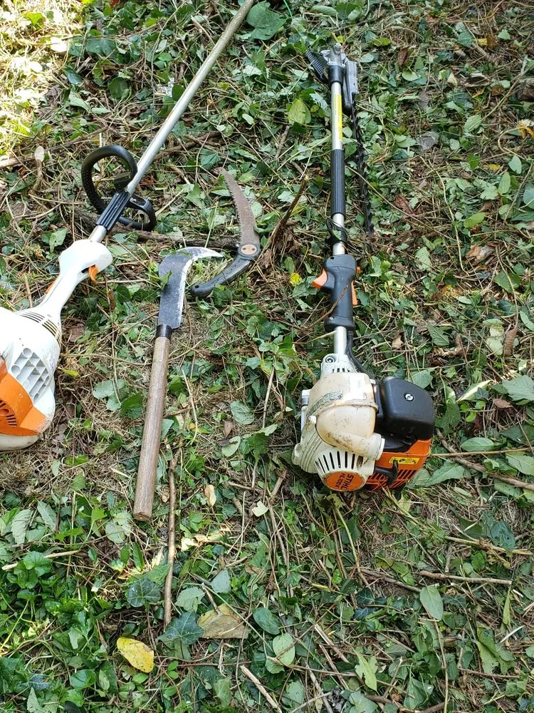 Trusted lawn mowing service with custom design in Montgomery Village, MD by Bees Landscaping and Painting