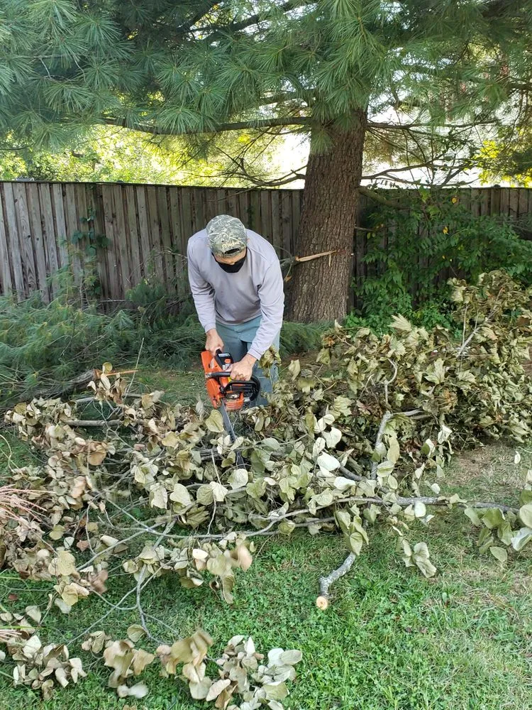 Affordable lawn care service near you across Montgomery Village, MD - Bees Landscaping and Painting