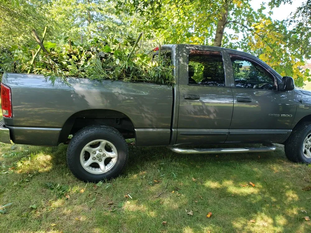 Top-rated lawn mowing service for year-round maintenance across Montgomery Village, MD - Bees Landscaping and Painting