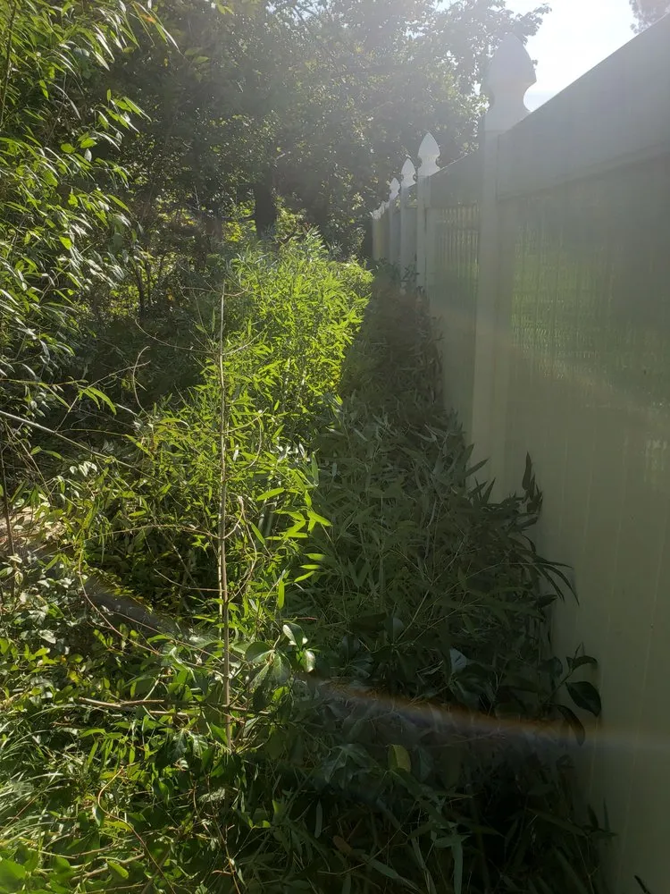 Affordable garden landscaping experts serving Montgomery Village, MD - Bees Landscaping and Painting