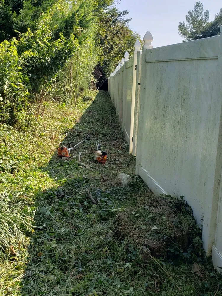 Local landscape design in Montgomery Village, MD - Bees Landscaping and Painting