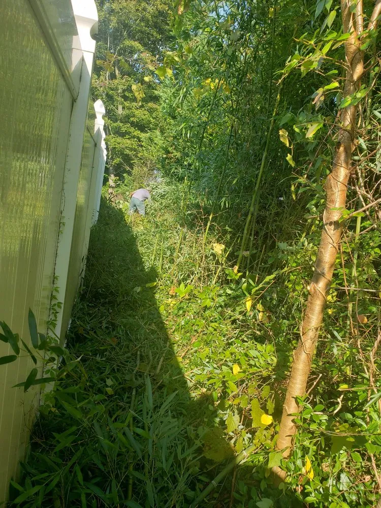 Affordable yard cleanup service with custom design across Montgomery Village, MD - Bees Landscaping and Painting