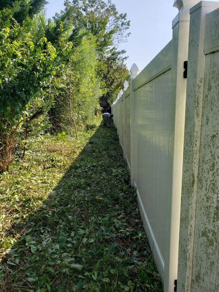 Local outdoor landscaping for year-round maintenance in Montgomery Village, MD by Bees Landscaping and Painting