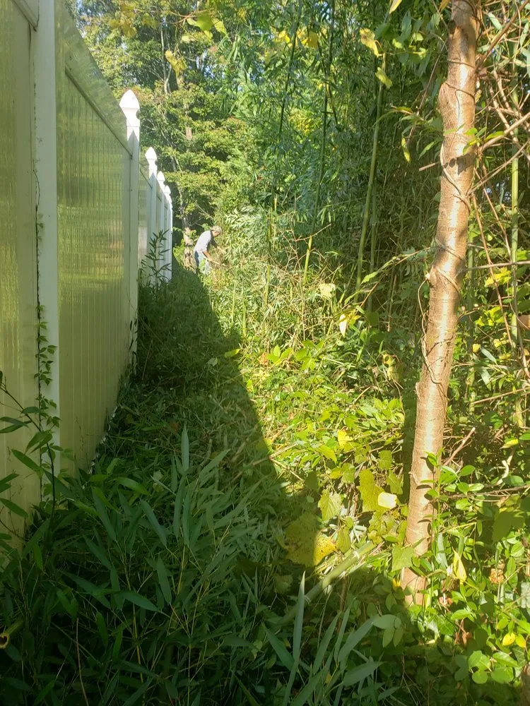 Reliable residential landscaping experts serving Montgomery Village, MD - Bees Landscaping and Painting