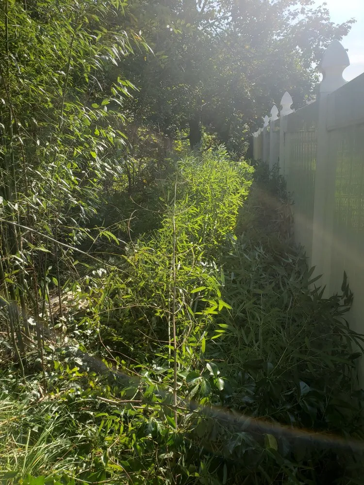 Trusted landscape design in Montgomery Village, MD by Bees Landscaping and Painting