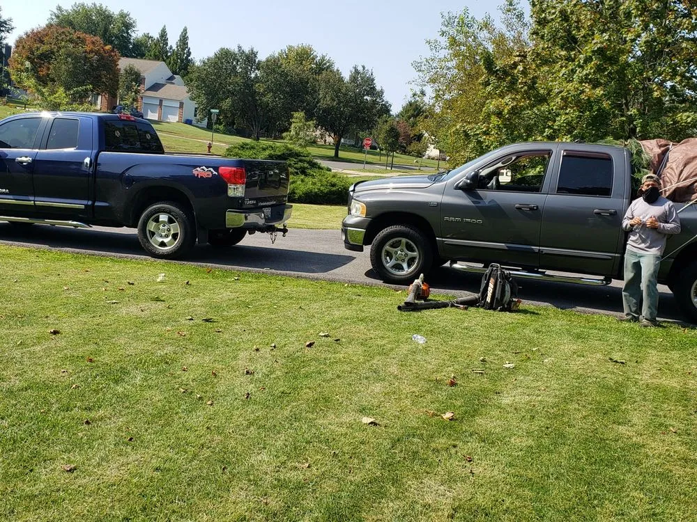 Expert lawn care service for year-round maintenance across Montgomery Village, MD - Bees Landscaping and Painting