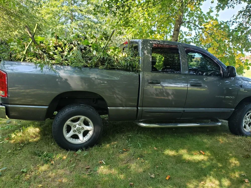 Expert yard maintenance experts serving Montgomery Village, MD - Bees Landscaping and Painting