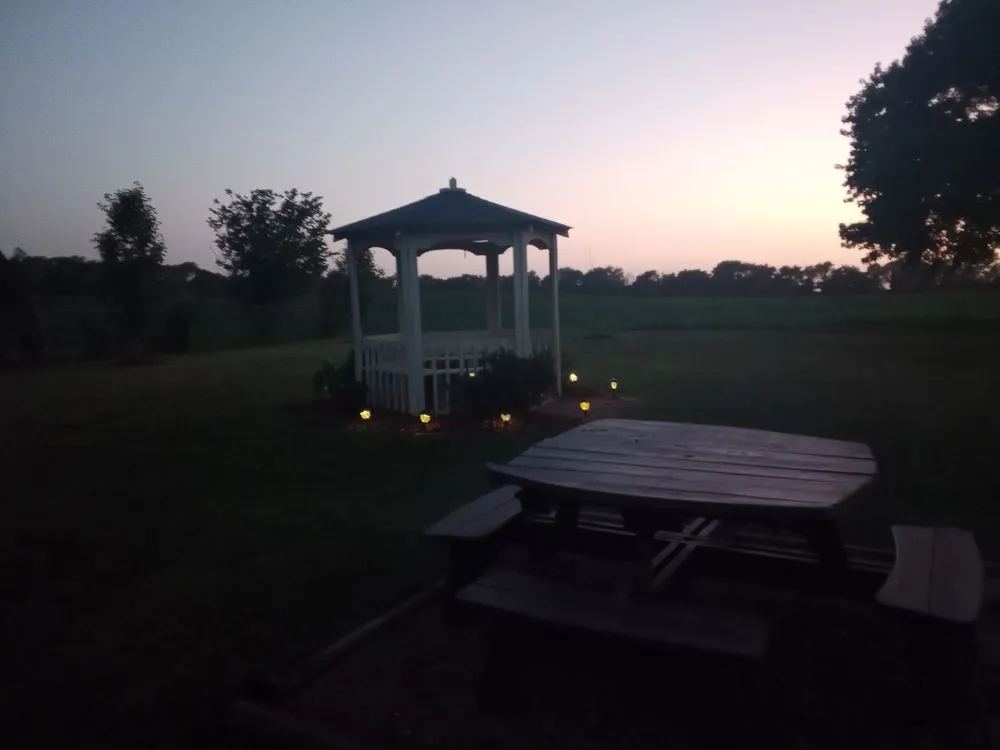 Professional yard cleanup service in Springfield, TN by Bee's Landscaping