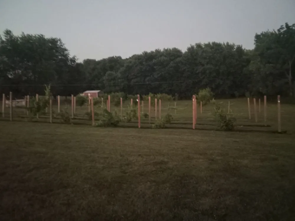 Trusted garden landscaping for beautiful yards in Springfield, TN by Bee's Landscaping