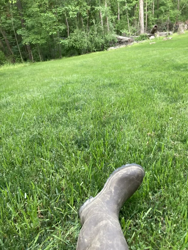 Reliable landscape design in Chapel Hill, NC - Bee’s Lawn & Trim