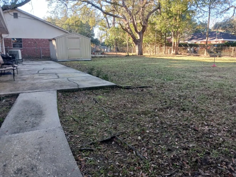 Affordable landscaping services in New Orleans, LA - Bee's Lawn Care