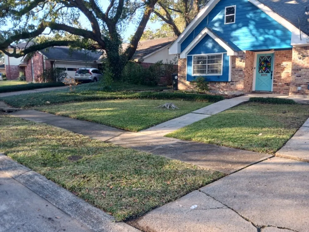 Professional landscape design in New Orleans, LA - Bee's Lawn Care