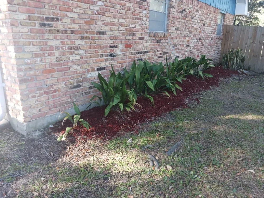 Affordable garden landscaping experts serving New Orleans, LA - Bee's Lawn Care