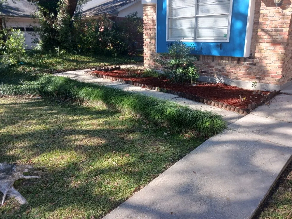 Local landscape design in New Orleans, LA - Bee's Lawn Care