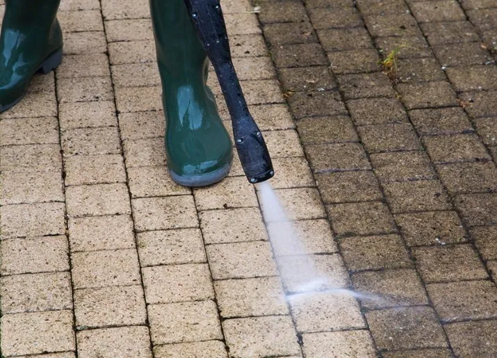 Reliable lawn care service experts serving New Orleans, LA - Bee's Lawn Care