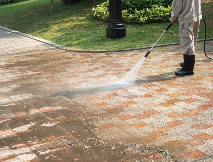 Expert yard cleanup service for homes in New Orleans, LA by Bee's Lawn Care