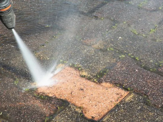 Top-rated landscape installation in New Orleans, LA - Bee's Lawn Care