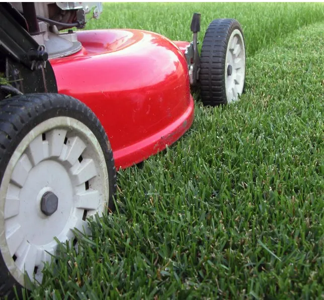 Local residential landscaping in New Orleans, LA by Bee's Lawn Care