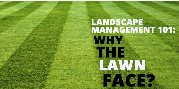 Professional outdoor landscaping in New Orleans, LA by Bee's Lawn Care