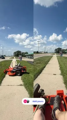 Bees Outdoor Service Logo